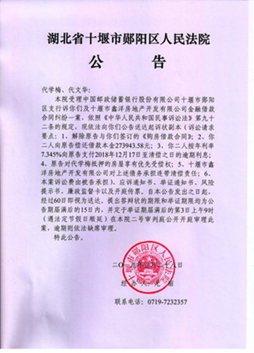 邮政银行诉代学梅、代文华案应诉公告_副本_副本.jpg